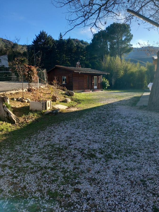 Petit Chalet En Bois Reynès Extérieur photo